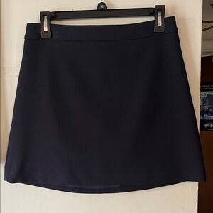 Express Navy A-Line Mini Skirt